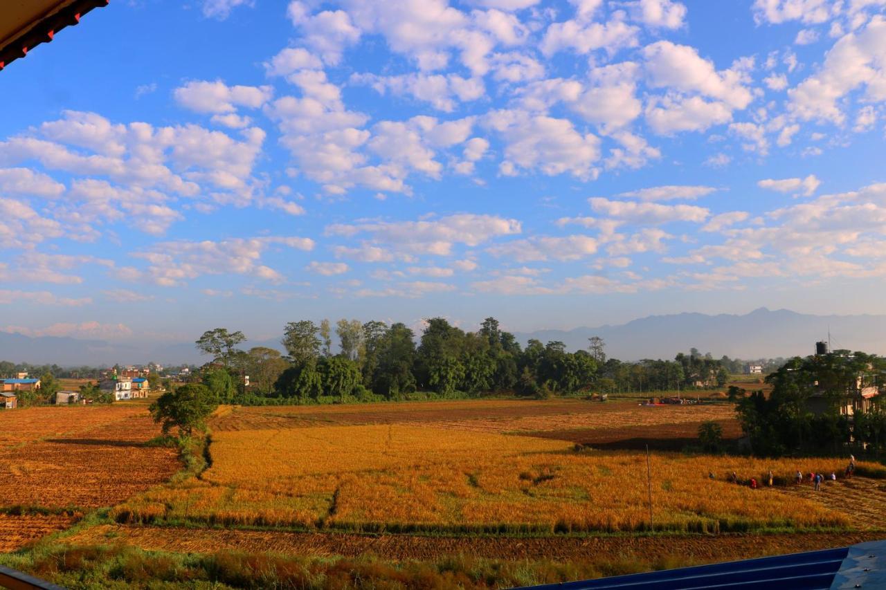 Hotel National Park- A Peaceful Family Home Where You Can Stay Peace And Enjoy And Organize The Wildlife Safari Chitwan Exterior photo