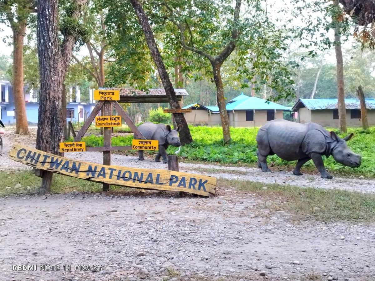 Hotel National Park- A Peaceful Family Home Where You Can Stay Peace And Enjoy And Organize The Wildlife Safari Chitwan Exterior photo