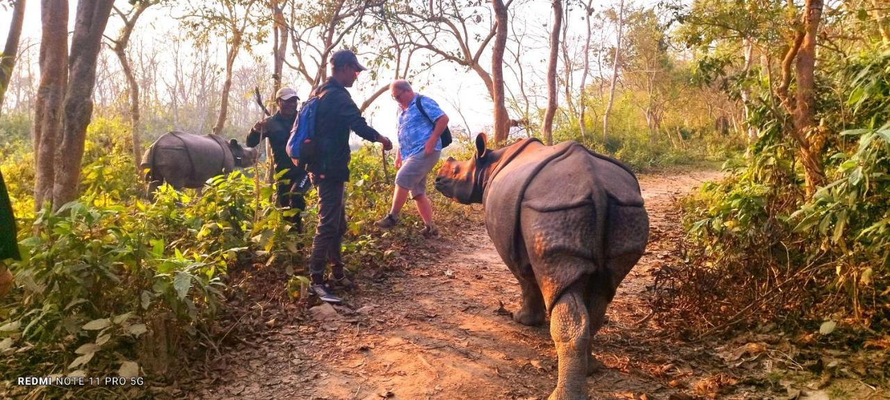 Hotel National Park- A Peaceful Family Home Where You Can Stay Peace And Enjoy And Organize The Wildlife Safari Chitwan Exterior photo