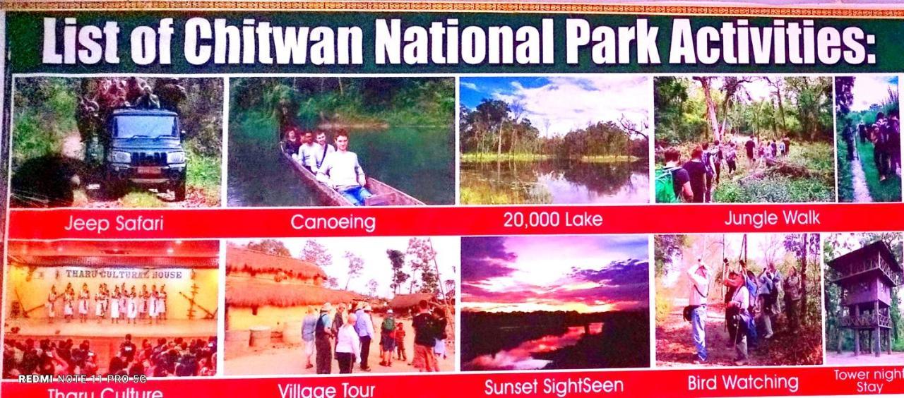 Hotel National Park- A Peaceful Family Home Where You Can Stay Peace And Enjoy And Organize The Wildlife Safari Chitwan Exterior photo