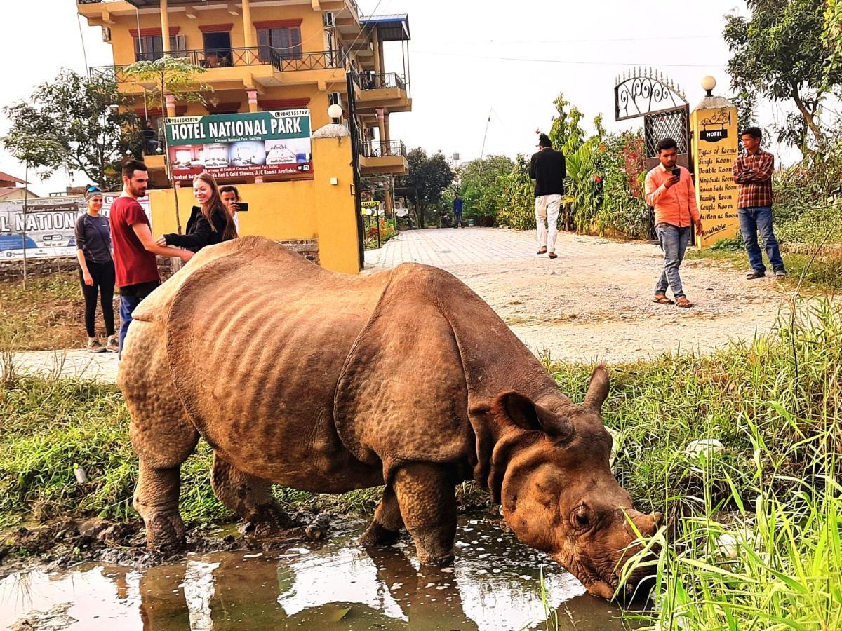 Hotel National Park- A Peaceful Family Home Where You Can Stay Peace And Enjoy And Organize The Wildlife Safari Chitwan Exterior photo
