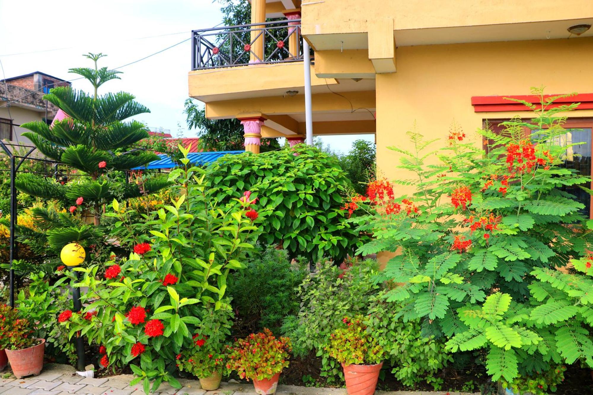 Hotel National Park- A Peaceful Family Home Where You Can Stay Peace And Enjoy And Organize The Wildlife Safari Chitwan Exterior photo