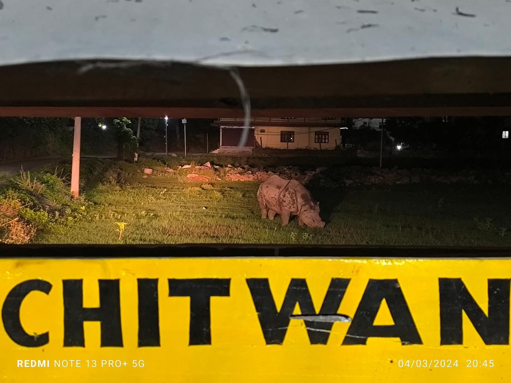 Hotel National Park- A Peaceful Family Home Where You Can Stay Peace And Enjoy And Organize The Wildlife Safari Chitwan Exterior photo